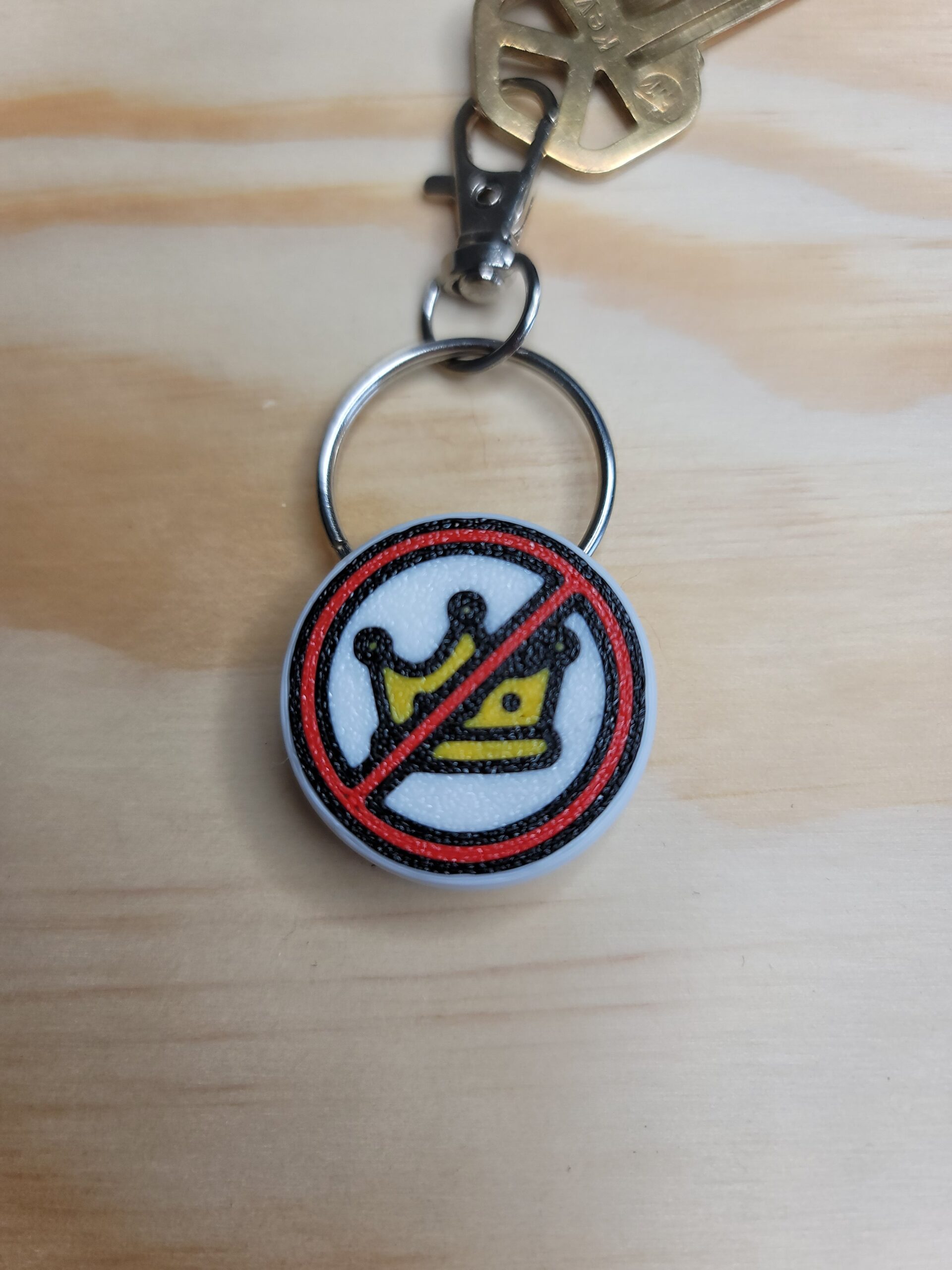 3D Printed Pro-Democracy Keychain Fob – Multicolor Zipper Pull Accessory - Image 2